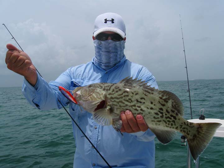 Grouper