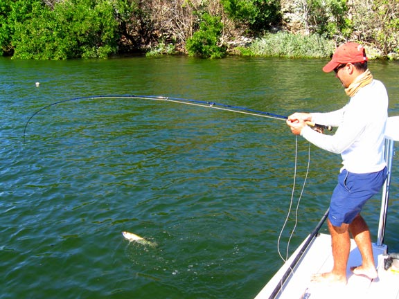 Fly Fishing