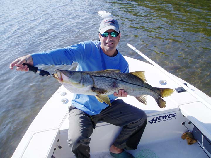 Snook